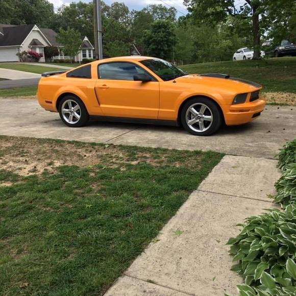 Meet your Posher, Marsha - Picture 1 of 1